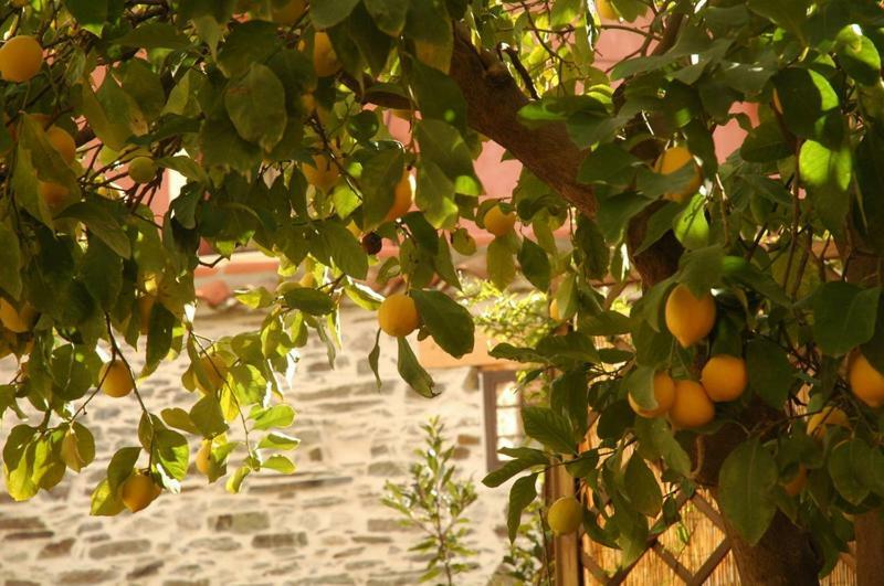 Casa Rural El Arco La Estrella  Kültér fotó